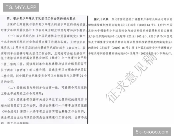 CBA公司推动俱乐部青训预算不低于15%，完善人才培养体系
